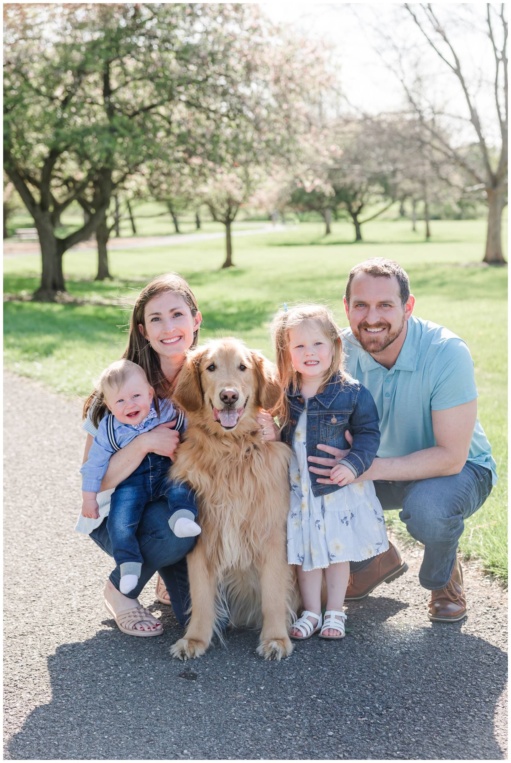 A golden retriever poses with a group on a path surrounded by blooming spring trees.