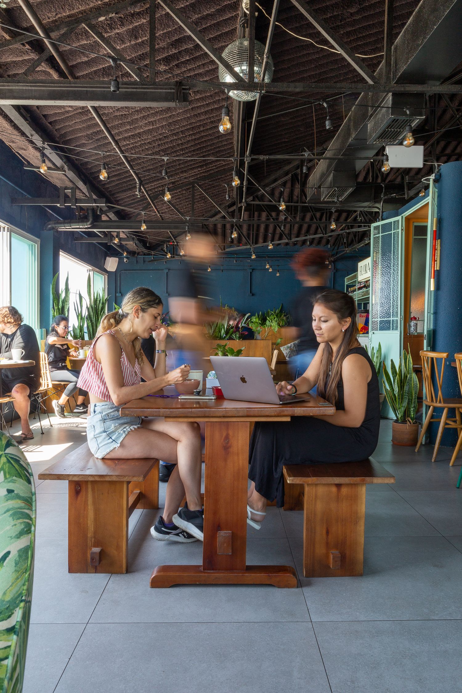 Modern cafe interior with wooden benches and plants showing people working on laptops.