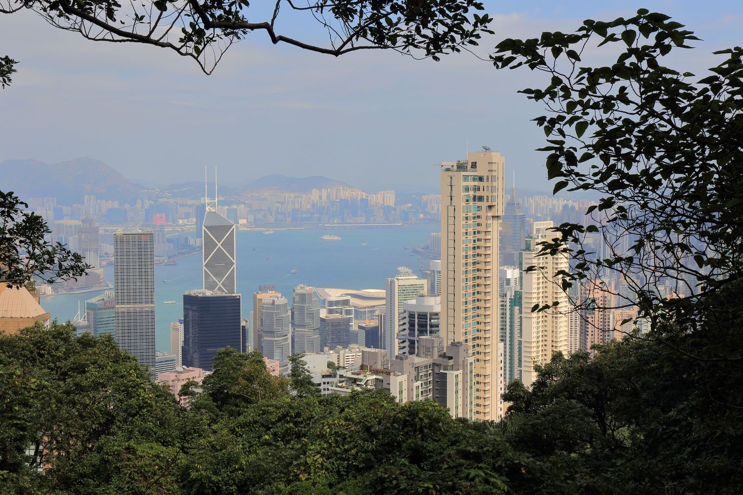 Hong Kong skyline framed by tree branches with iconic buildings and harbor visible.