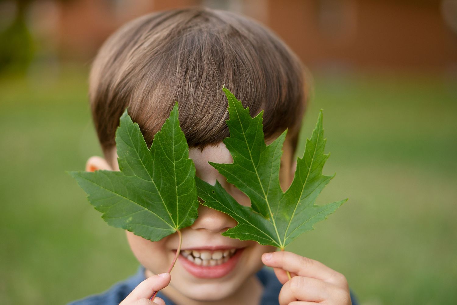boy hides behind green leaves
