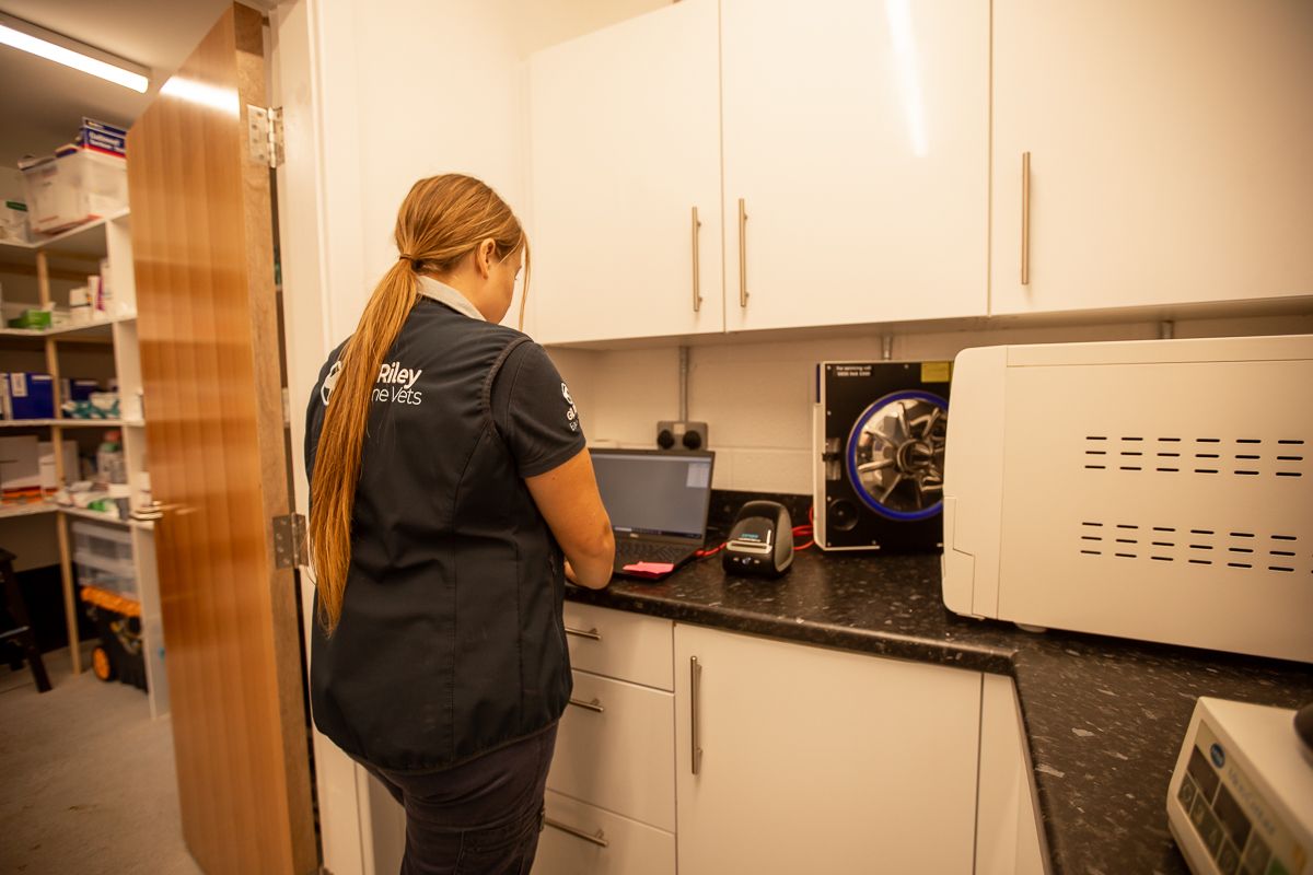 Medical professional working in veterinary clinic laboratory with equipment.