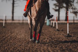 portrait of cowgirl