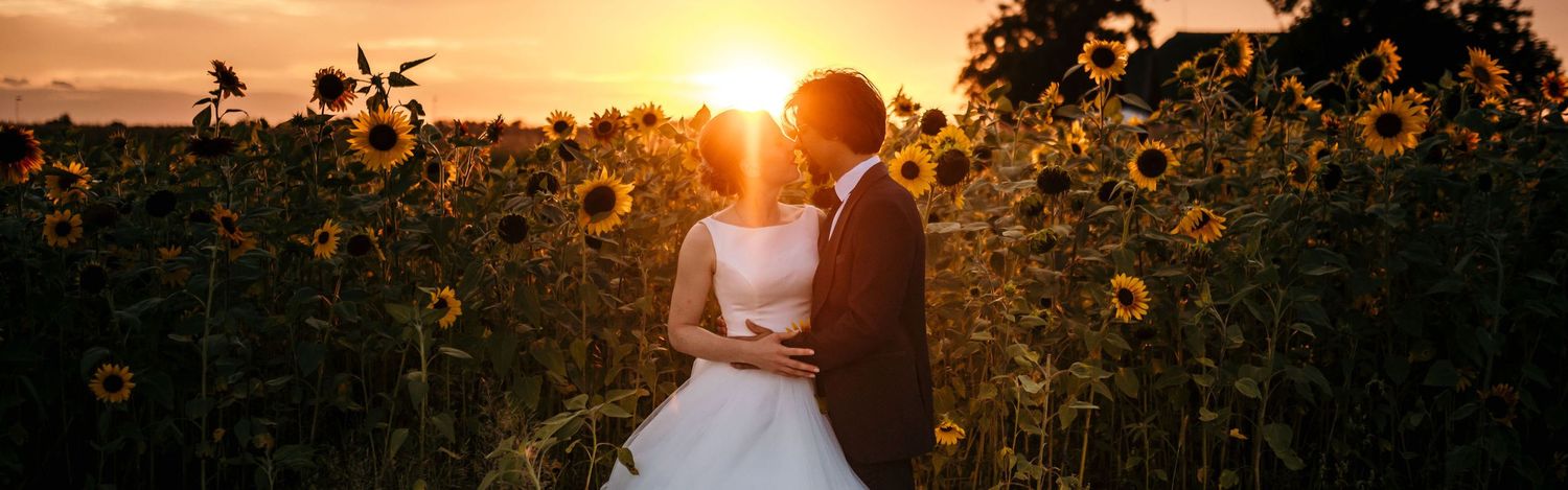 Golden sunset silhouettes through sunflowers in a romantic outdoor setting.