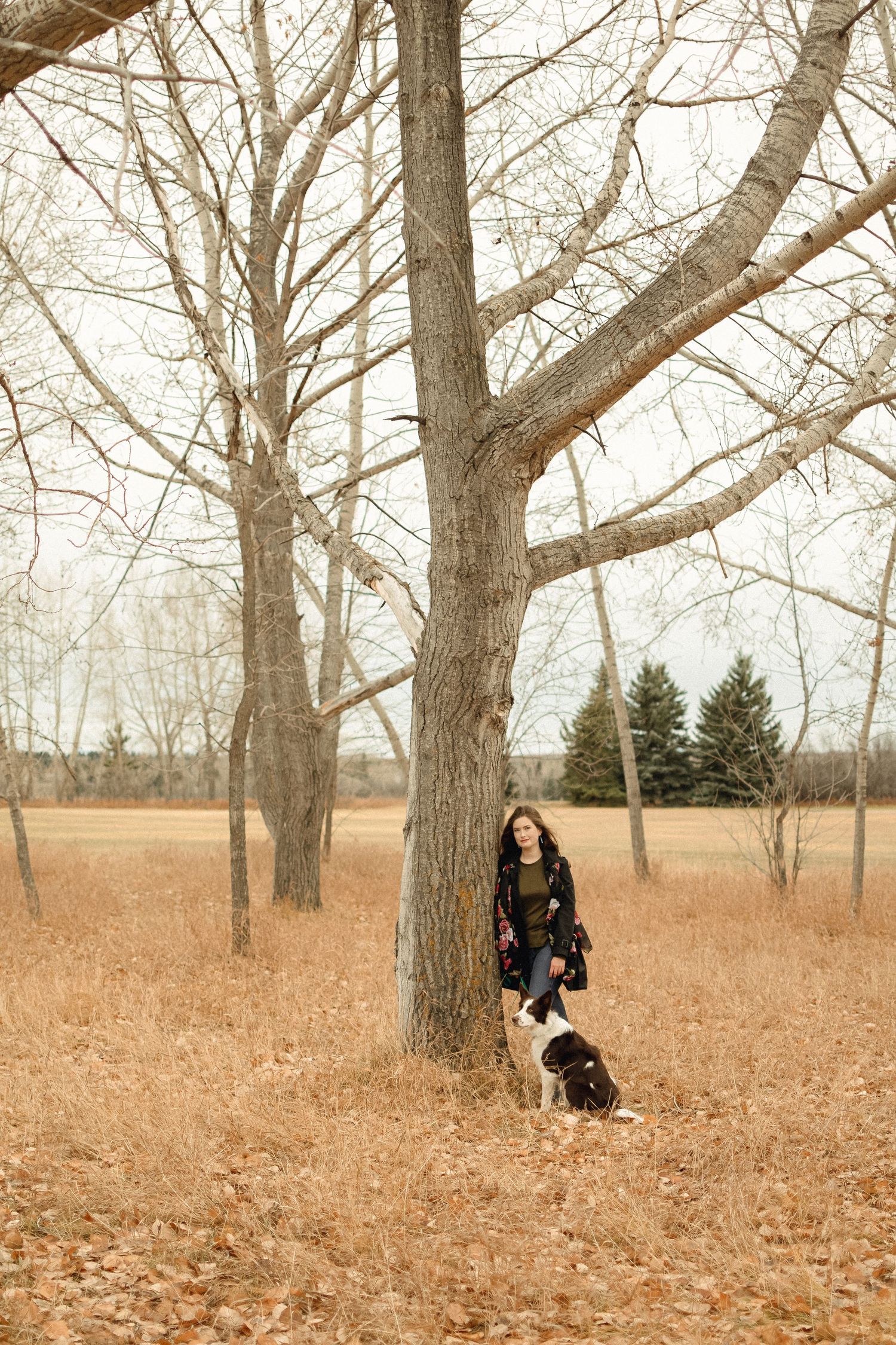 A person and their dog stand among bare trees in a serene autumn field.