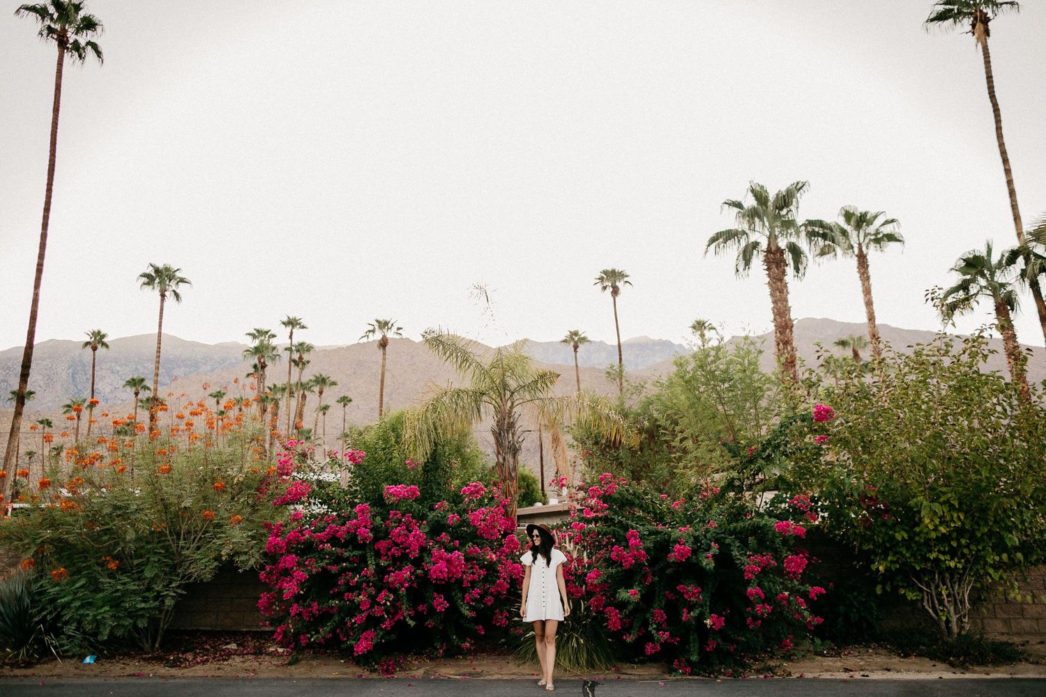 White dress against vibrant pink bougainvillea and palm trees in desert landscape.