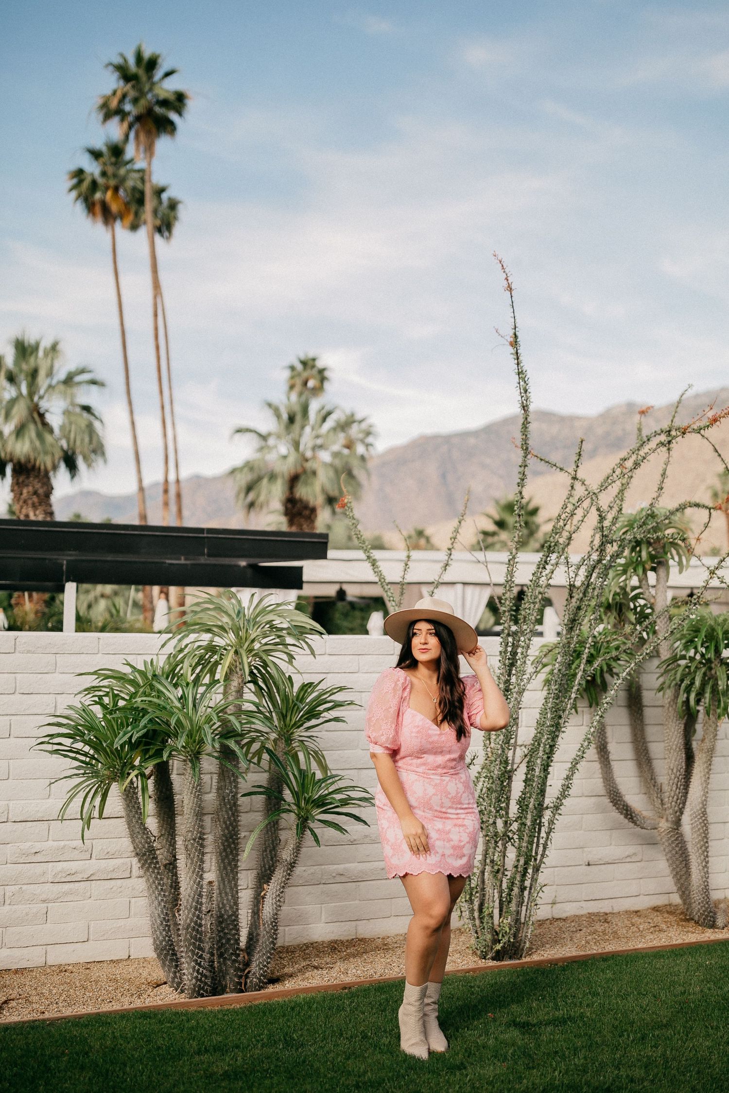 Desert garden scene with pink dress against white wall and palm trees in Palm Springs.