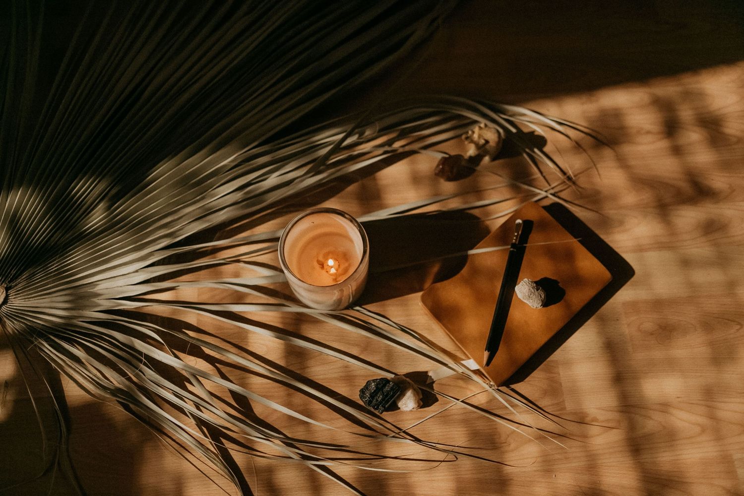 Artistically arranged candle and dried palm leaves casting dramatic shadows.