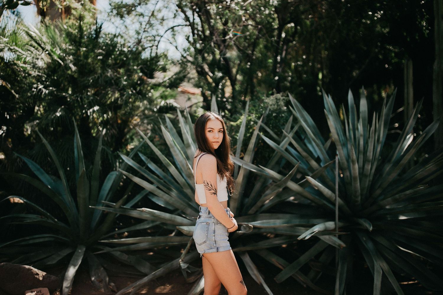 Tropical garden setting with large agave plants creating dramatic natural backdrop.