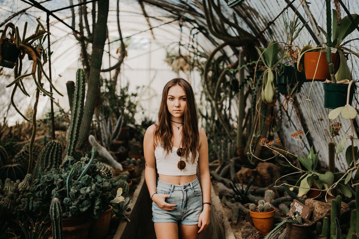 Interior of greenhouse with tropical plants and hanging planters creating jungle-like atmosphere.