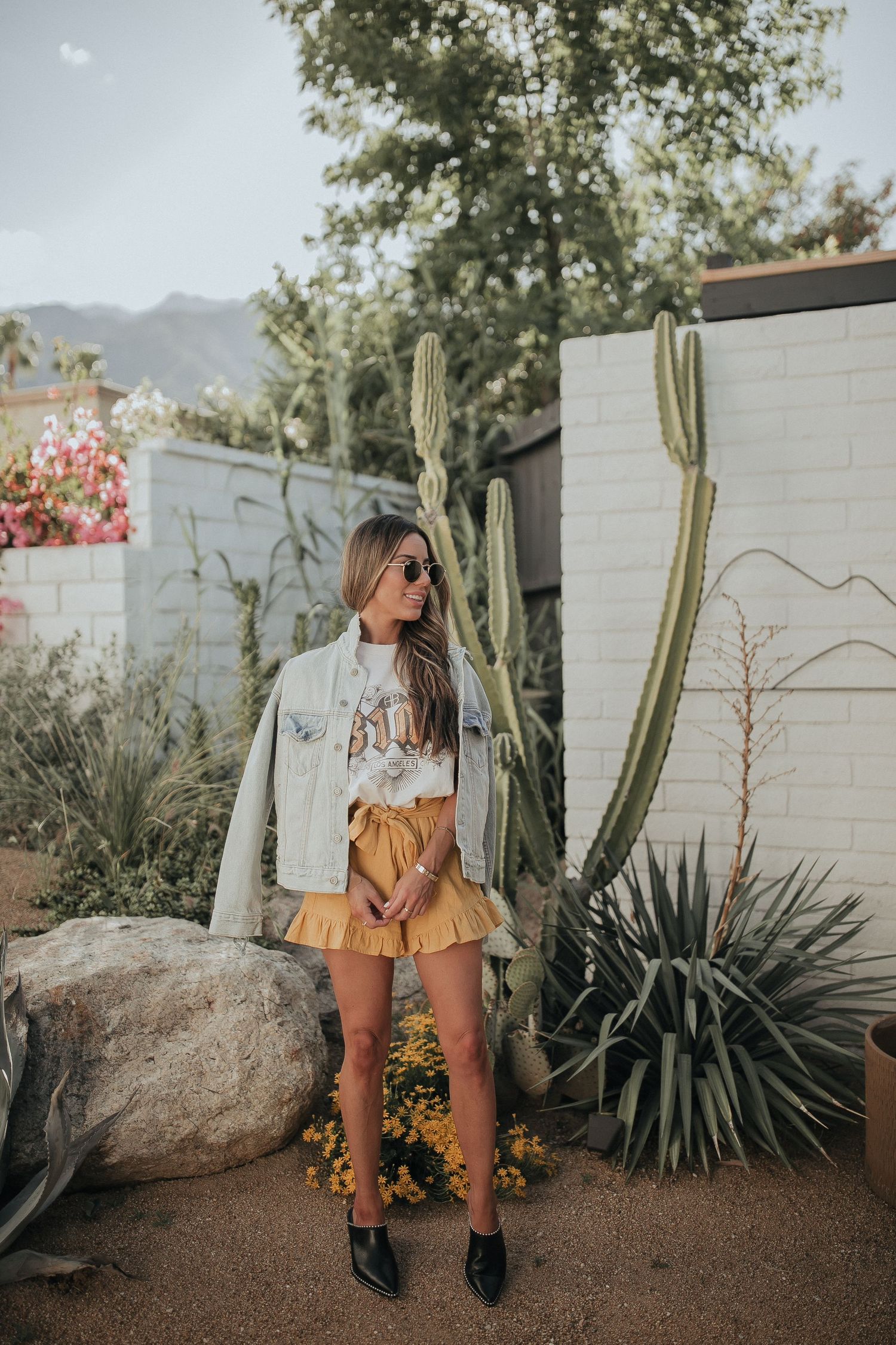 Desert garden scene with cactus plants and modern southwest architectural elements.