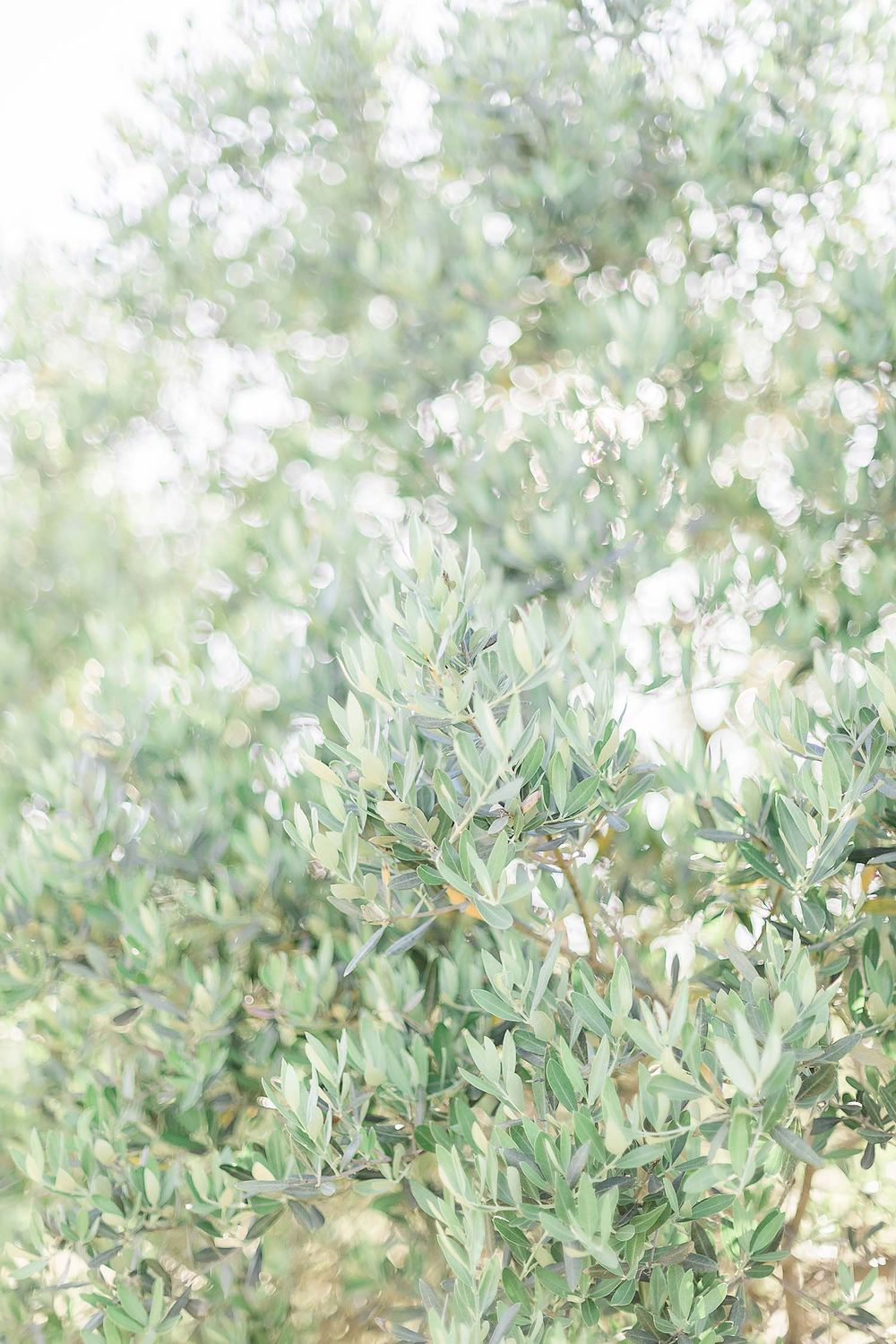 photographe mariage rennes olivier