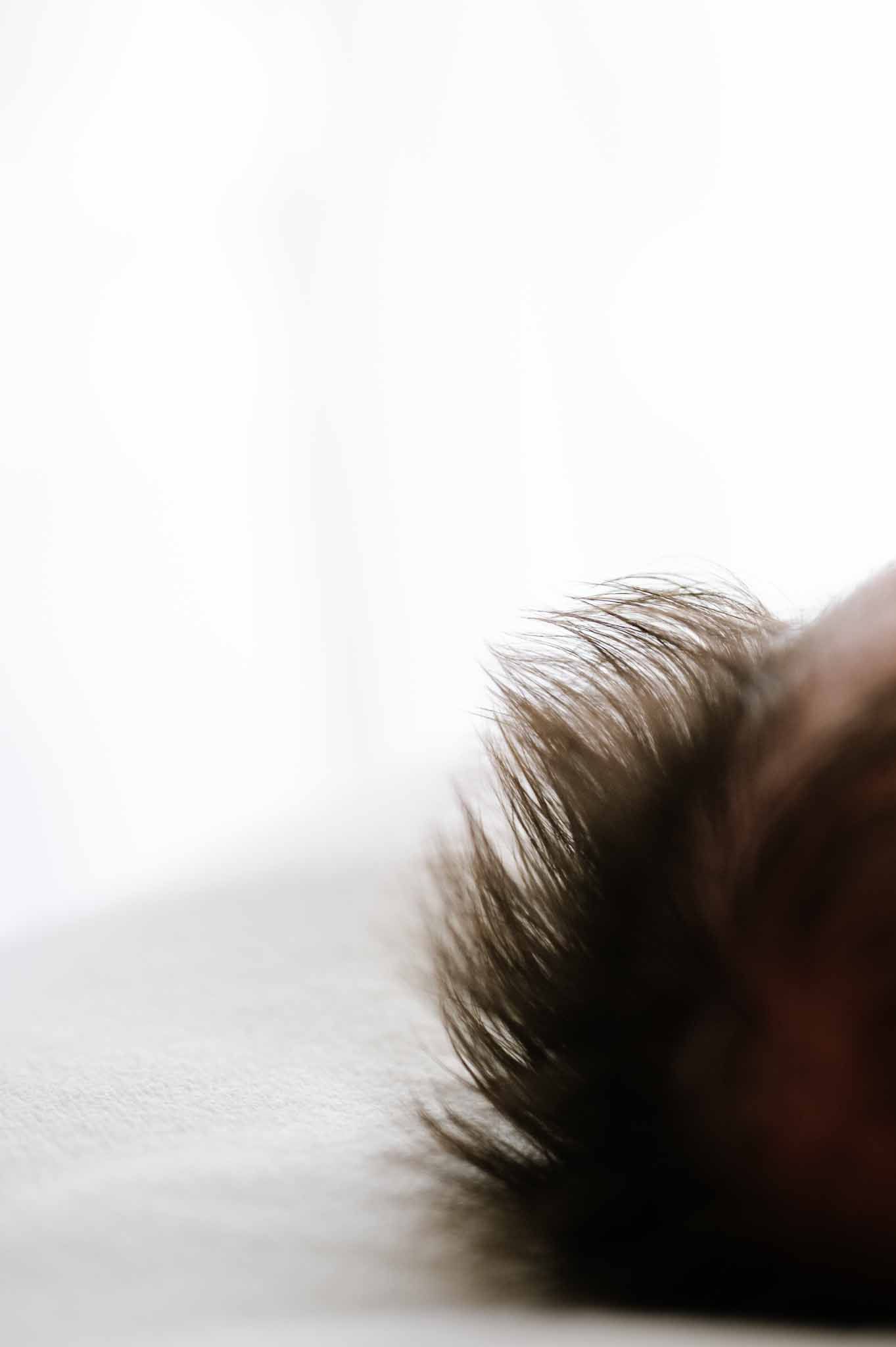 Artistic close-up of soft baby hair in gentle lighting.