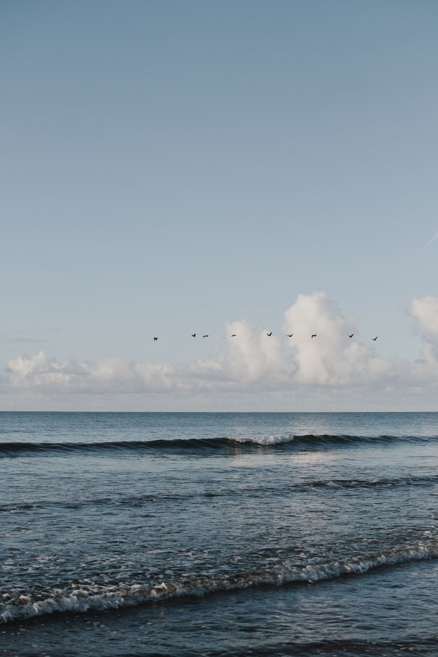 A flock of birds flying over ocean waves against a cloudy sky at the beach.