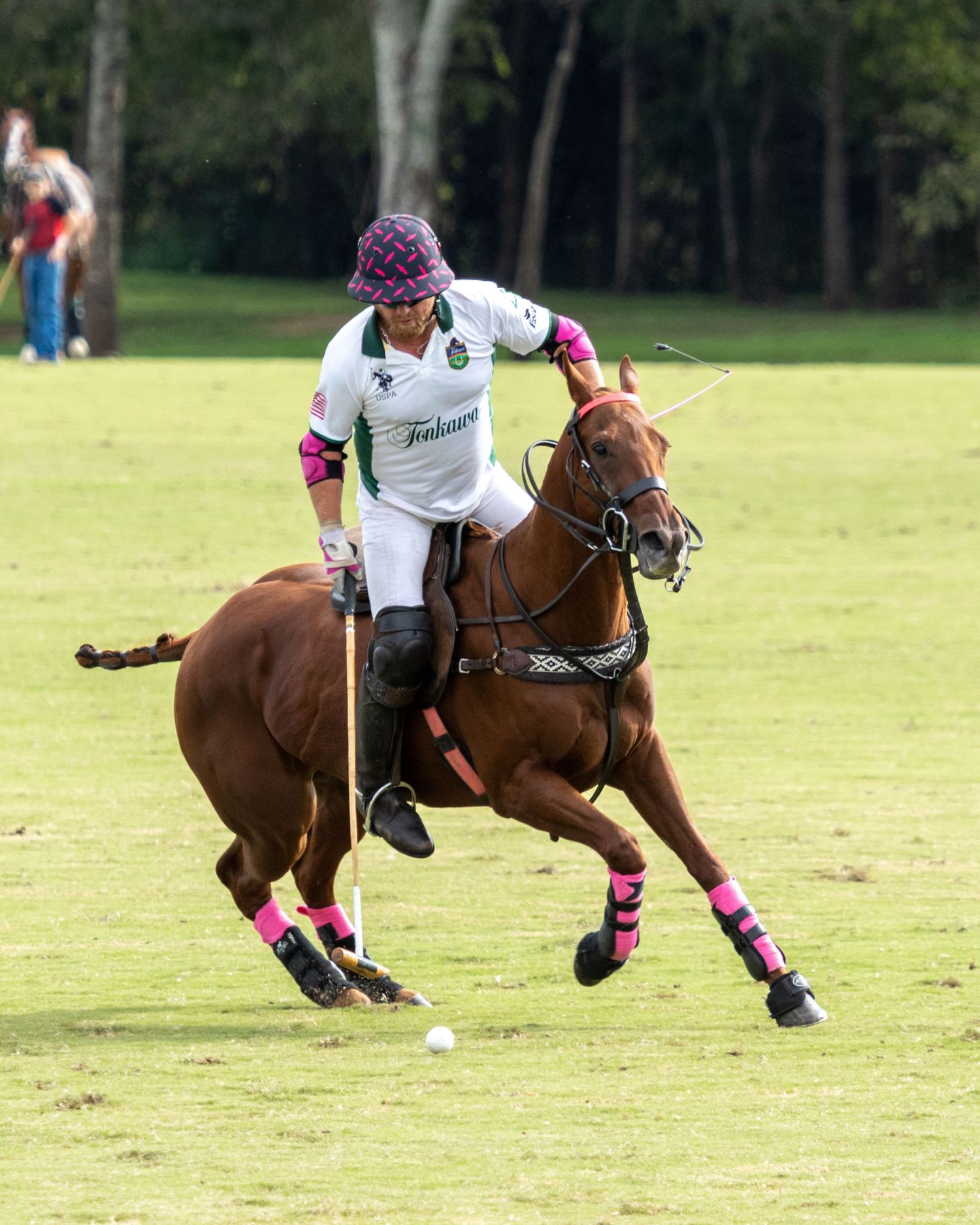 Polo