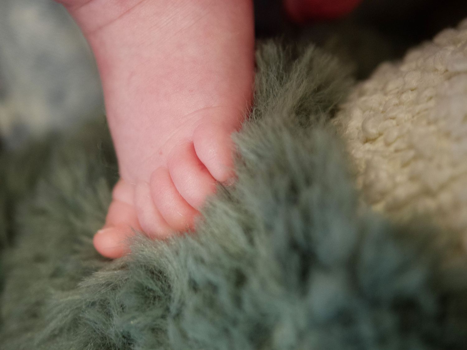 Lifestyle newborn picture of baby foot on olive green fur