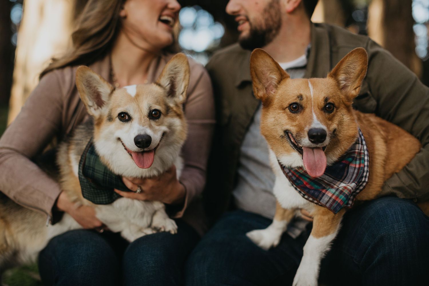 San Francisco Engagement Session with Corgi