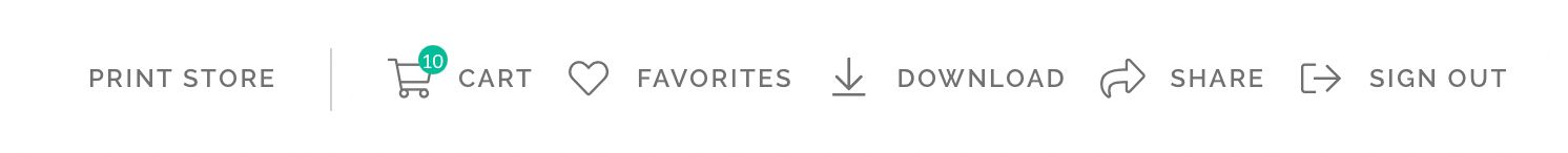 Website header with a dark layout showing three icons for shopping cart, favorites, downloads, and theme customization.