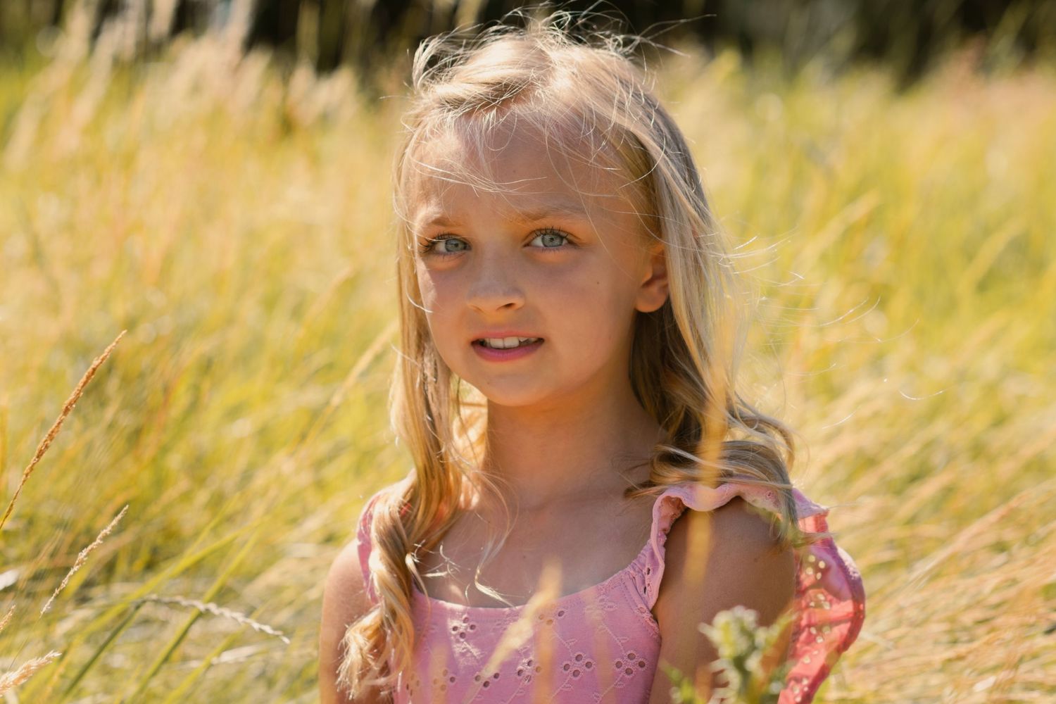 young girl in a golden field sitting and looking at camera. she is wearing a pink dress and has blue eyes and blond hair