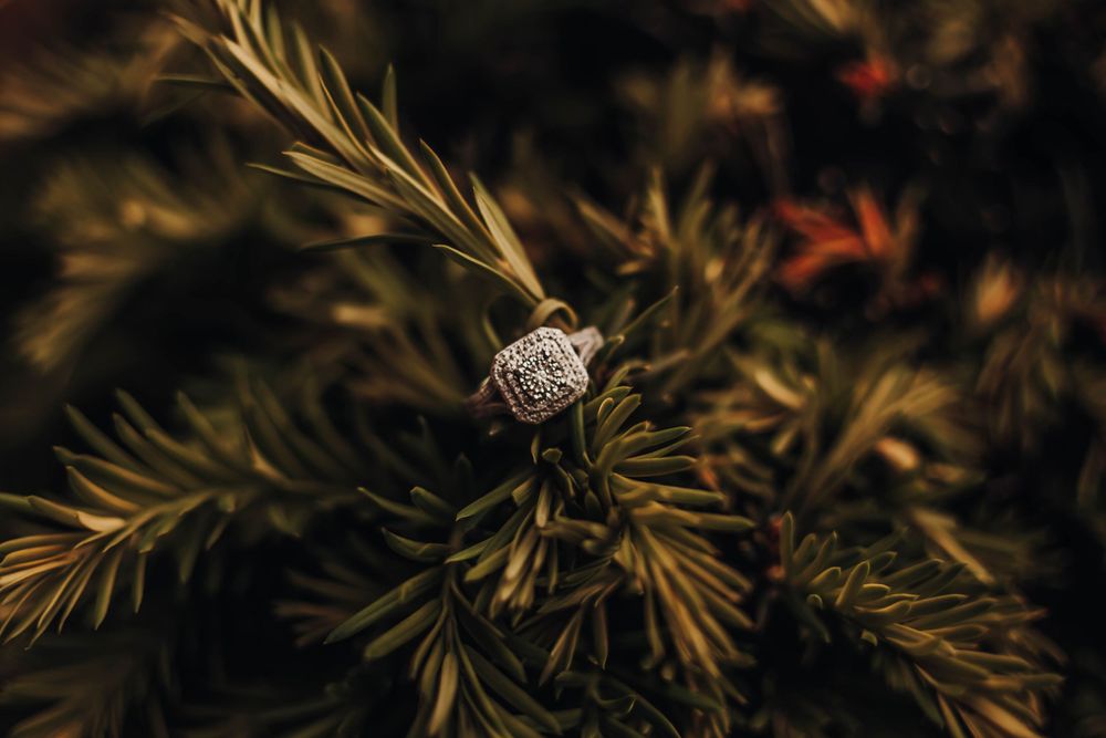 Ring details