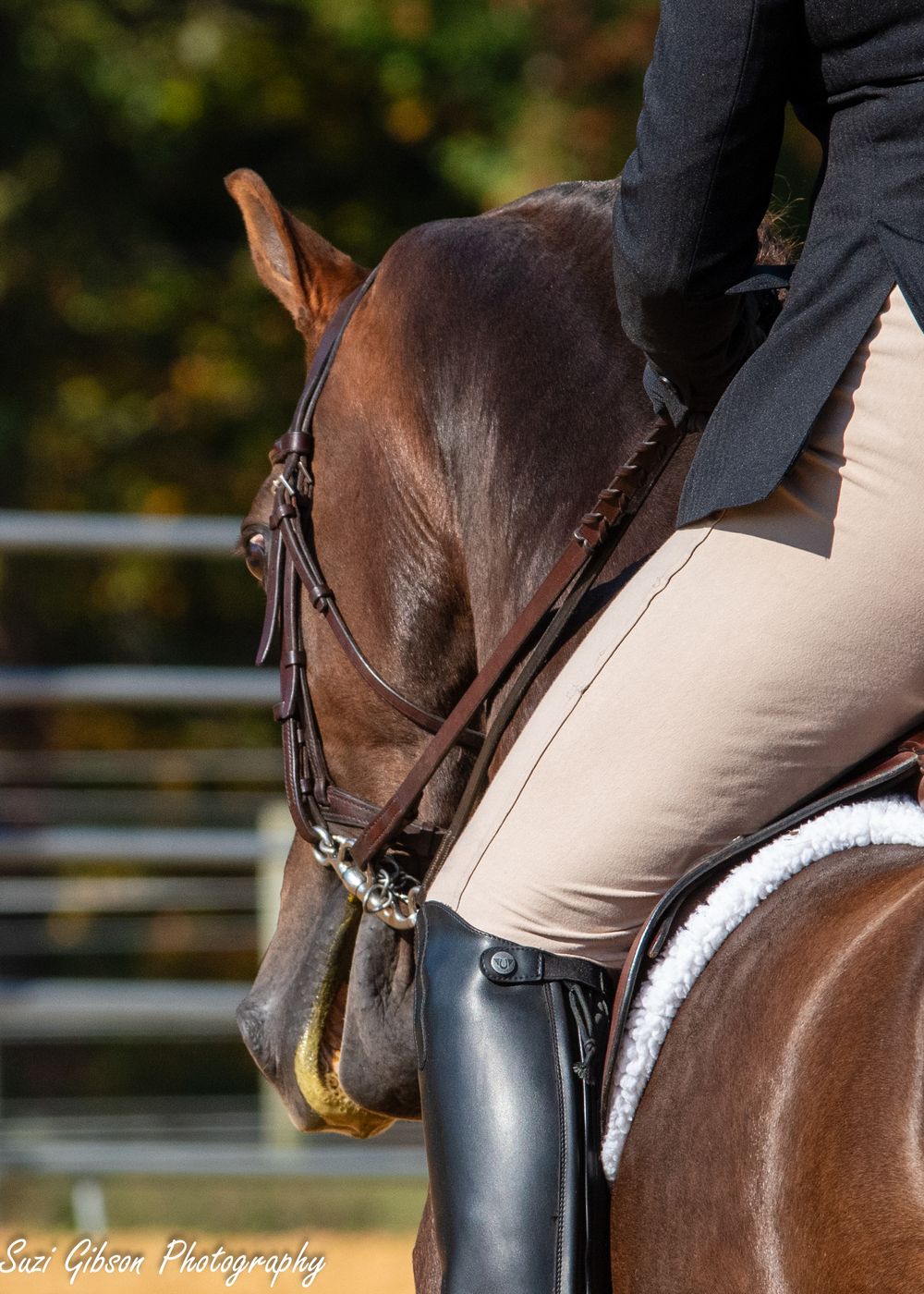 horse show game action photo coverage maryland dmv suzi gibson photography