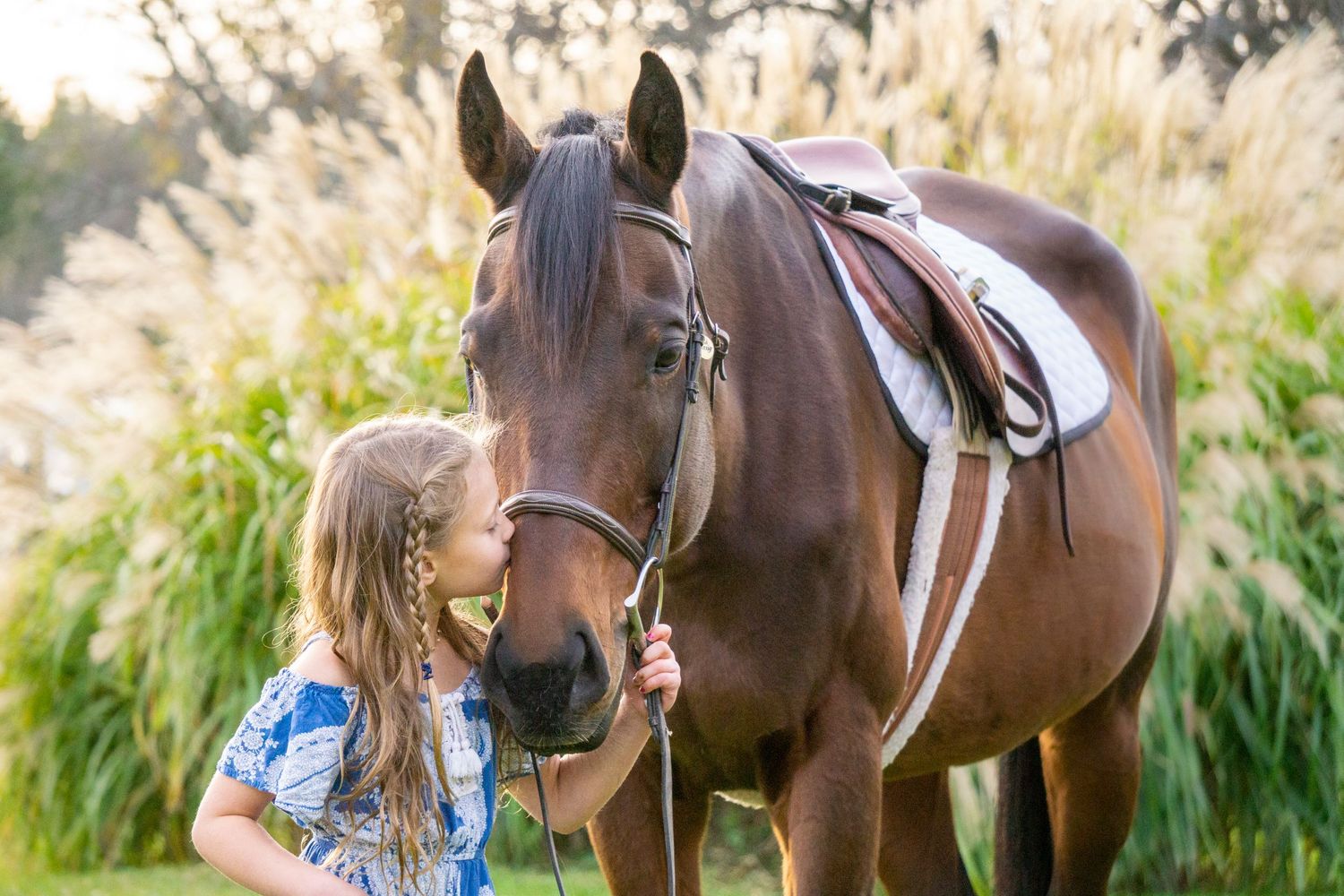 Equine photographer, Lehigh valley, black backgrounds, mo equine photography, horse and rider sessions, pet photography