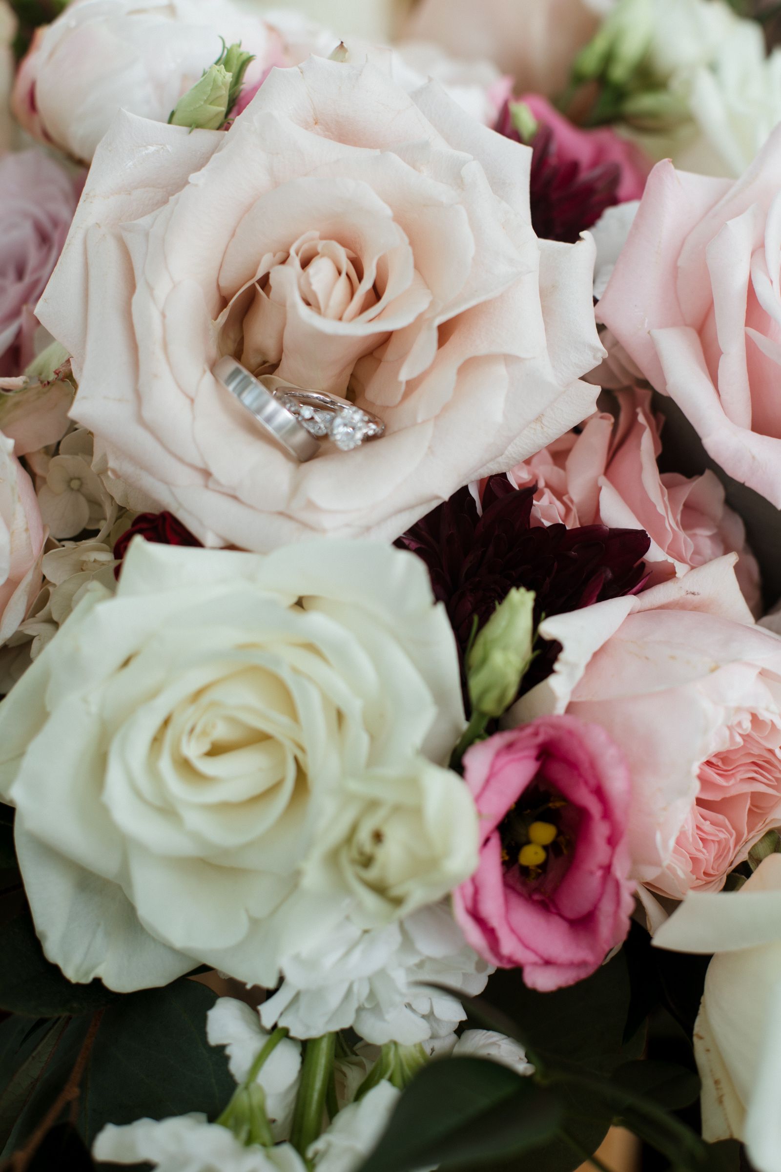 Delicate pink and white roses with lush petals arranged in an elegant floral display.