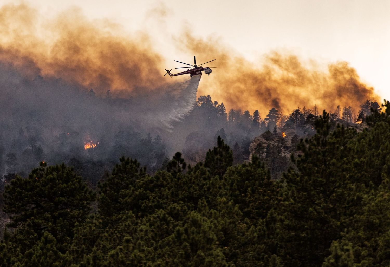 Elephant Butte Fire (Evergreen, CO)