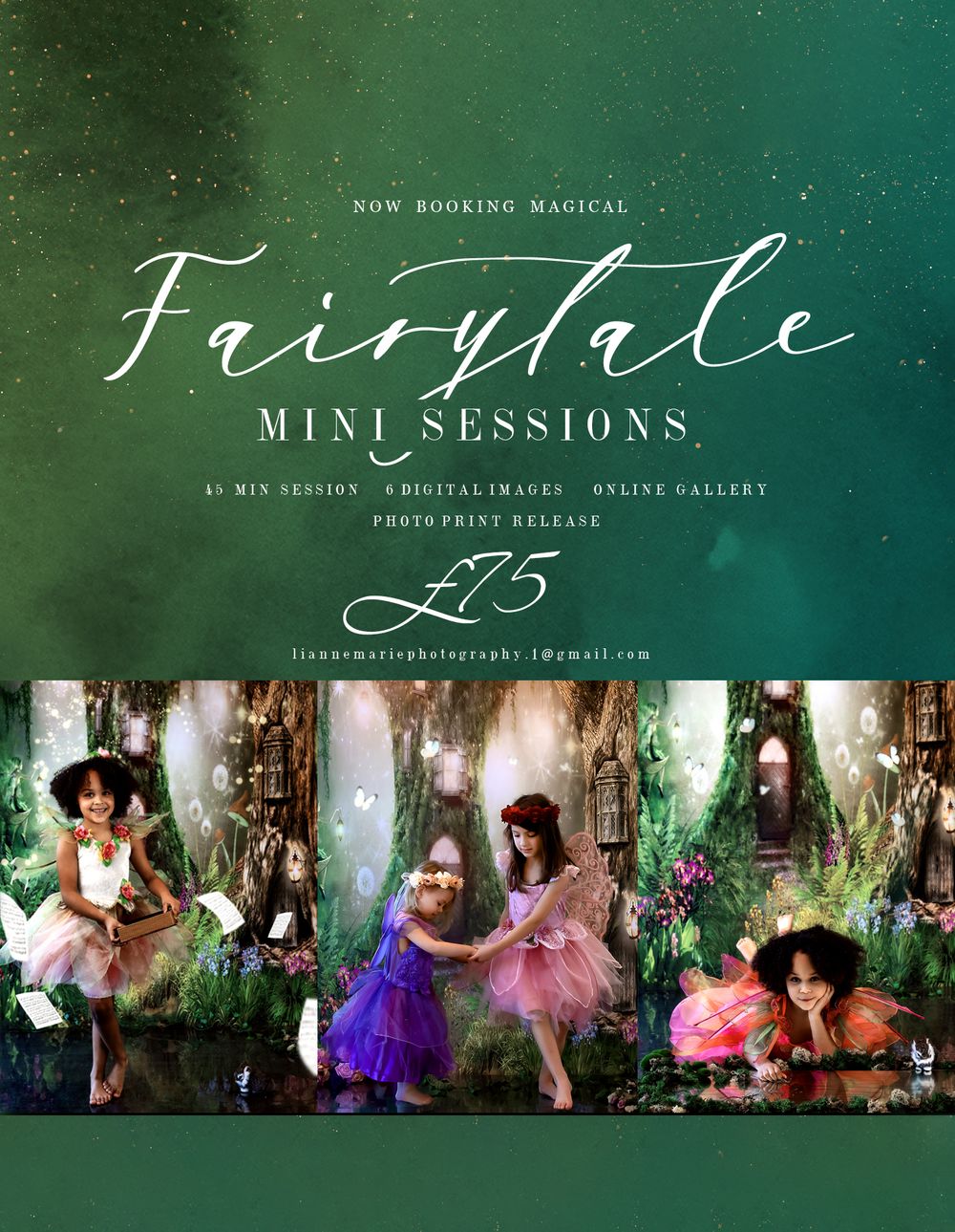 Lianne Marie Photography fairy theme flyer