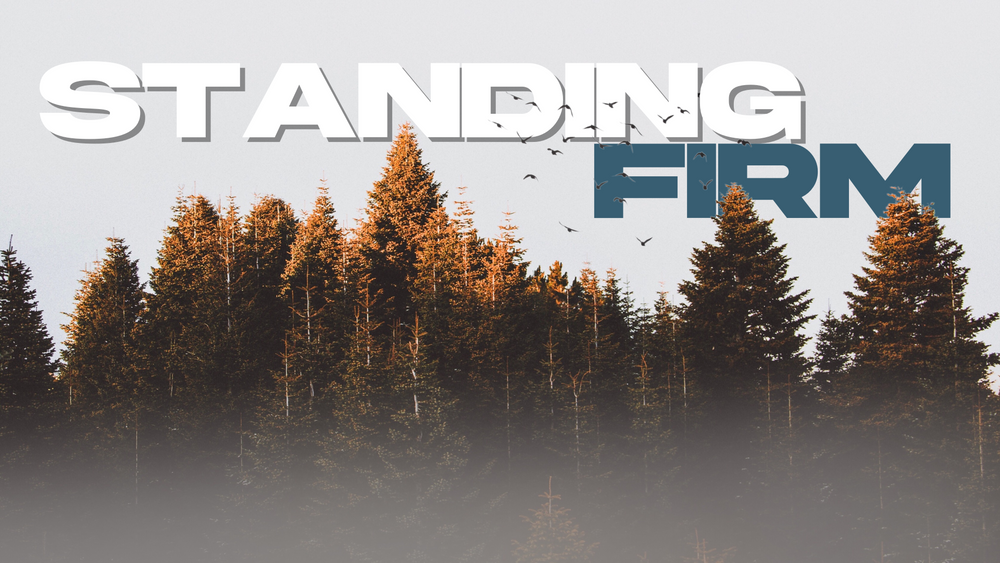 Misty forest landscape with tall pine trees and text 'Standing Firm' overlaid.