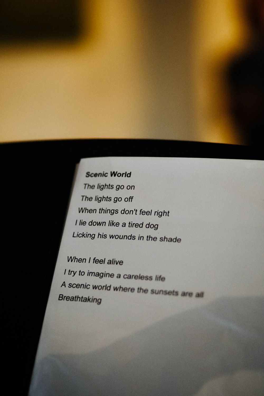 Close-up of poem lyrics about a scenic world printed in black text against a light background.