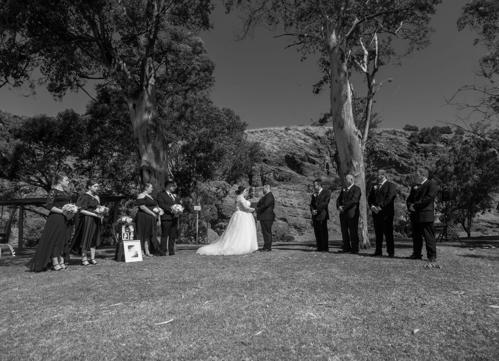 Family Photoshoot, Adelaide, Newborns, Portrait, Forest, Beach, Studio, Events, Weddings, Pet Photos , Dogs, Friends, Conceptual, Boudoir