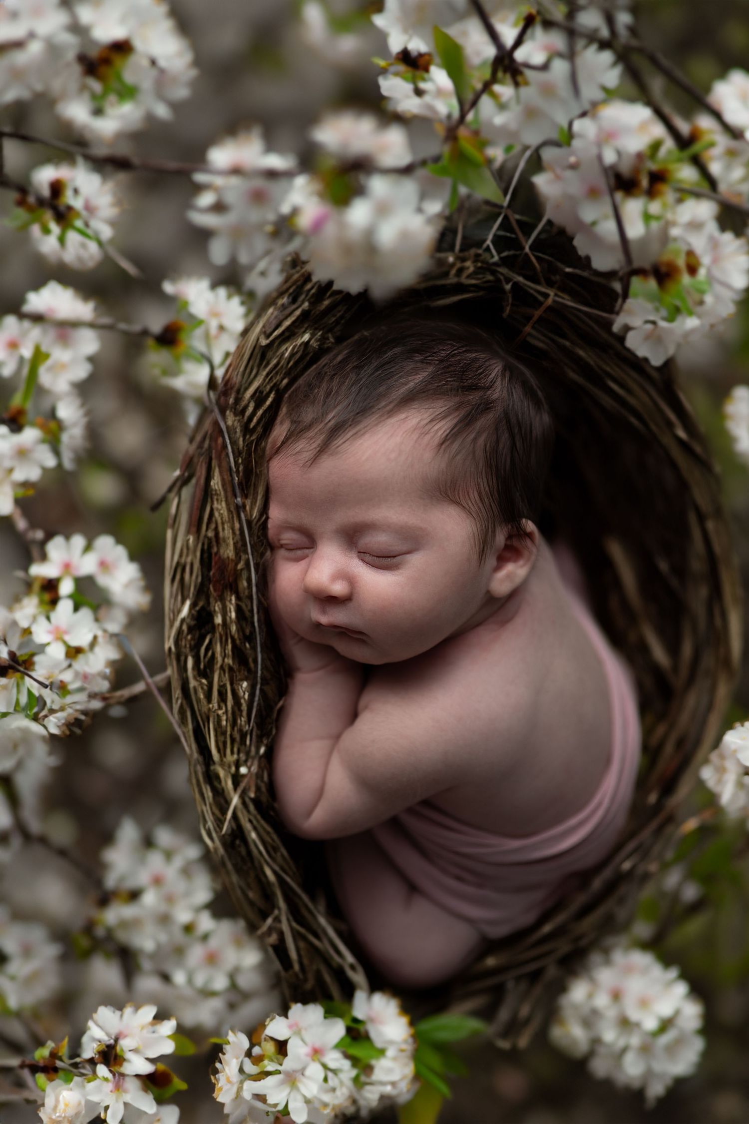 Clarksville newborn photographer Oshi Medlin