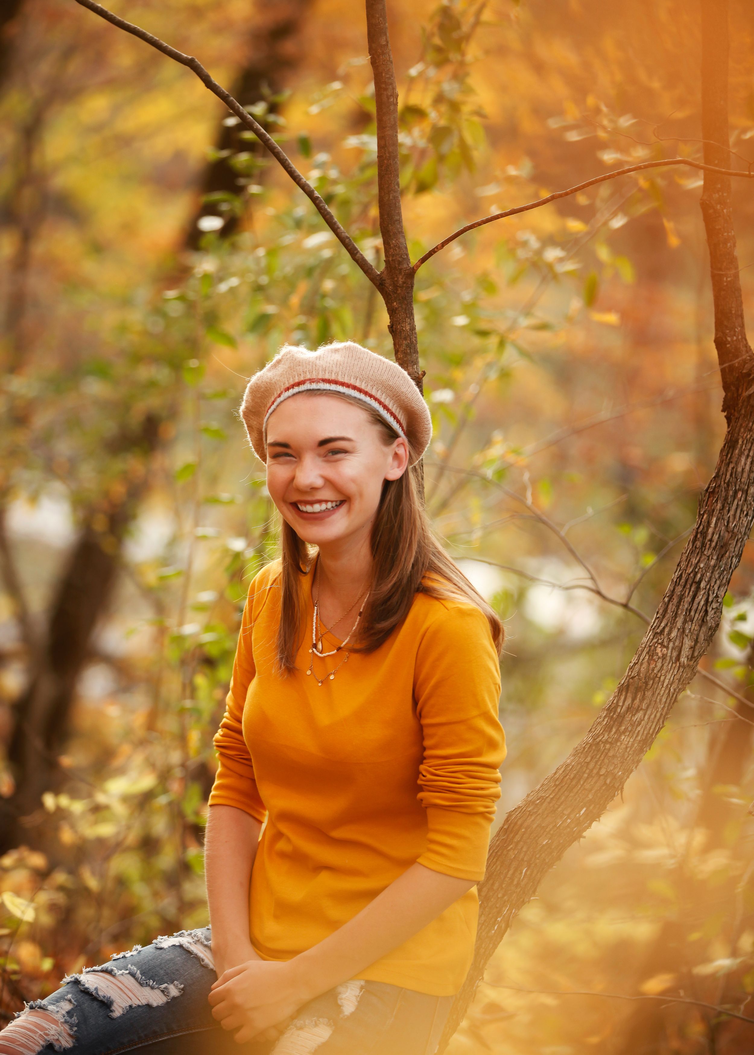 Warm autumn scene with golden lighting filtering through fall foliage.