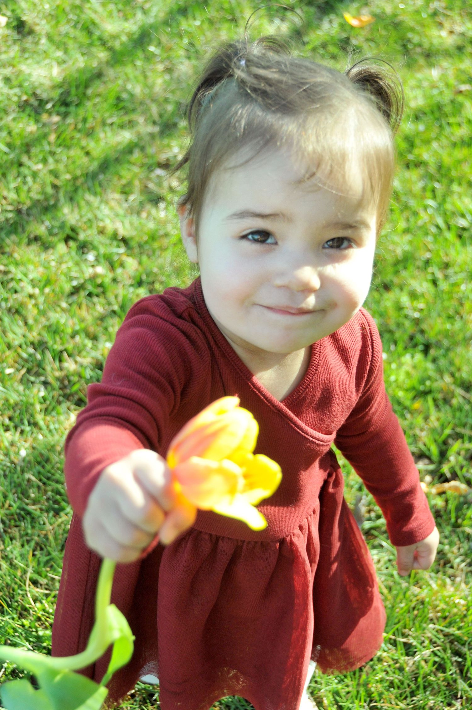 photo of toddler girl holding tulip outside