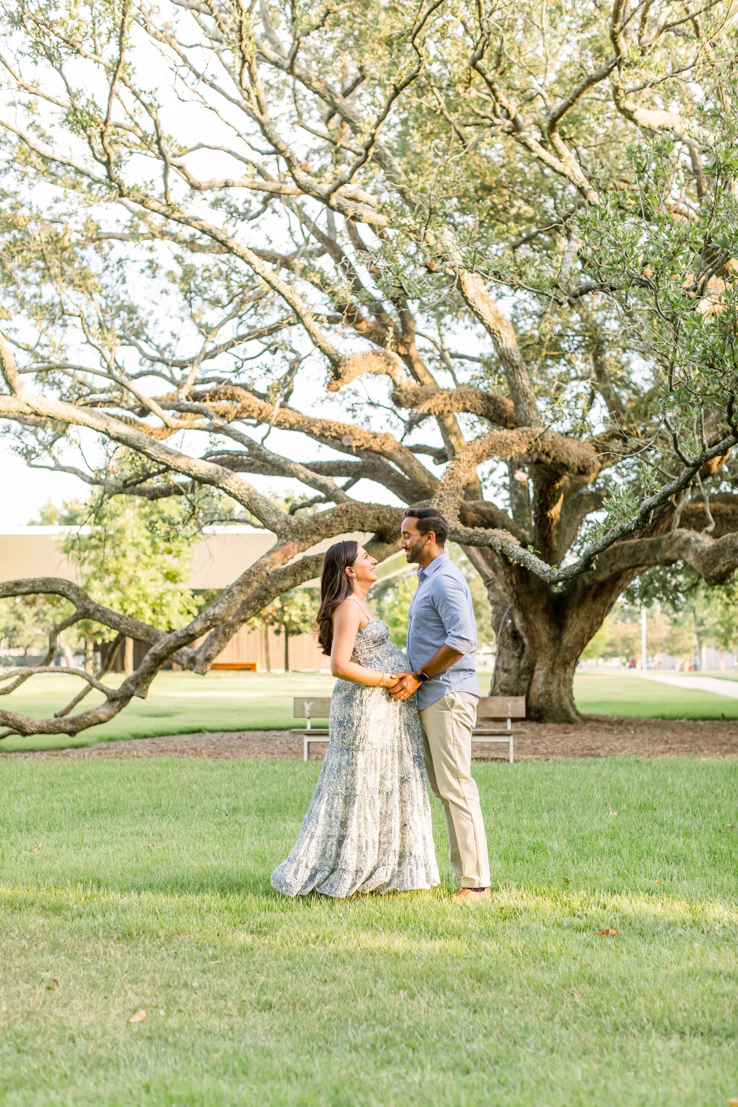 Romantic maternity portrait under a majestic oak tree in afternoon sunlight.