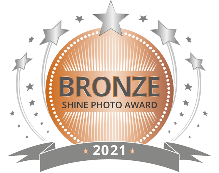 bronzeshinephotoaward