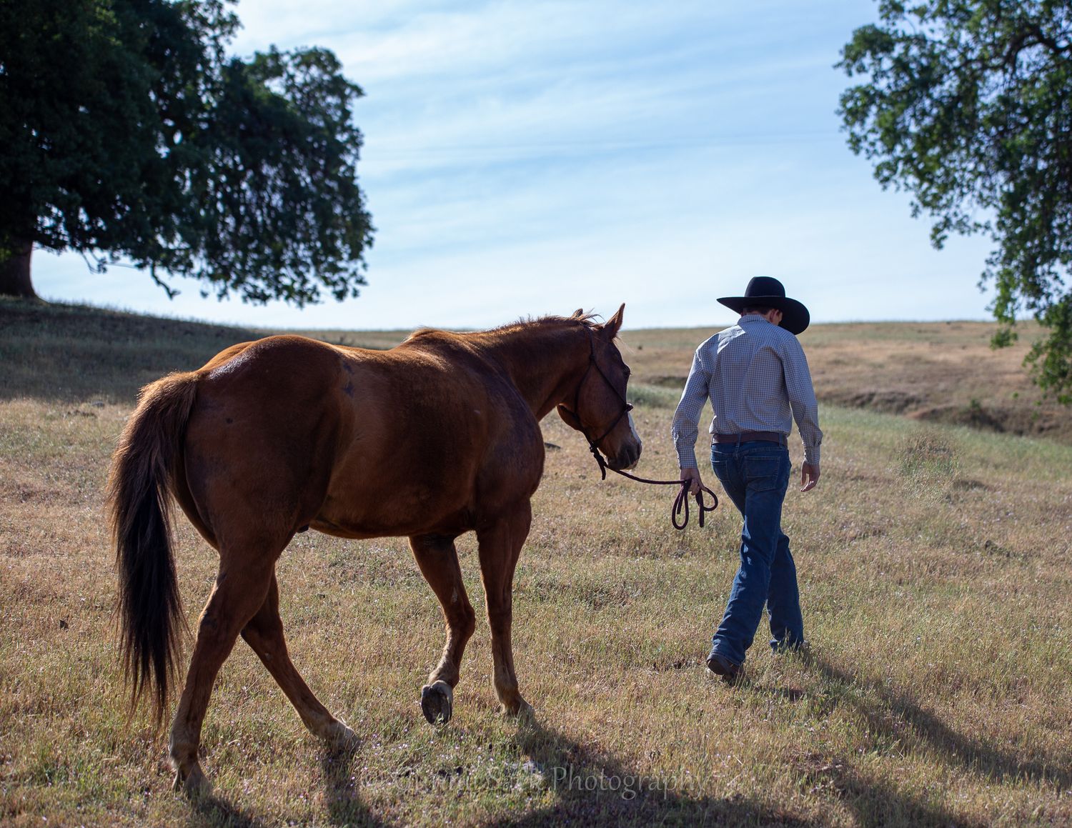 gunnii sack photography, cowboy, class of 2022, calaveras high school, rodeo