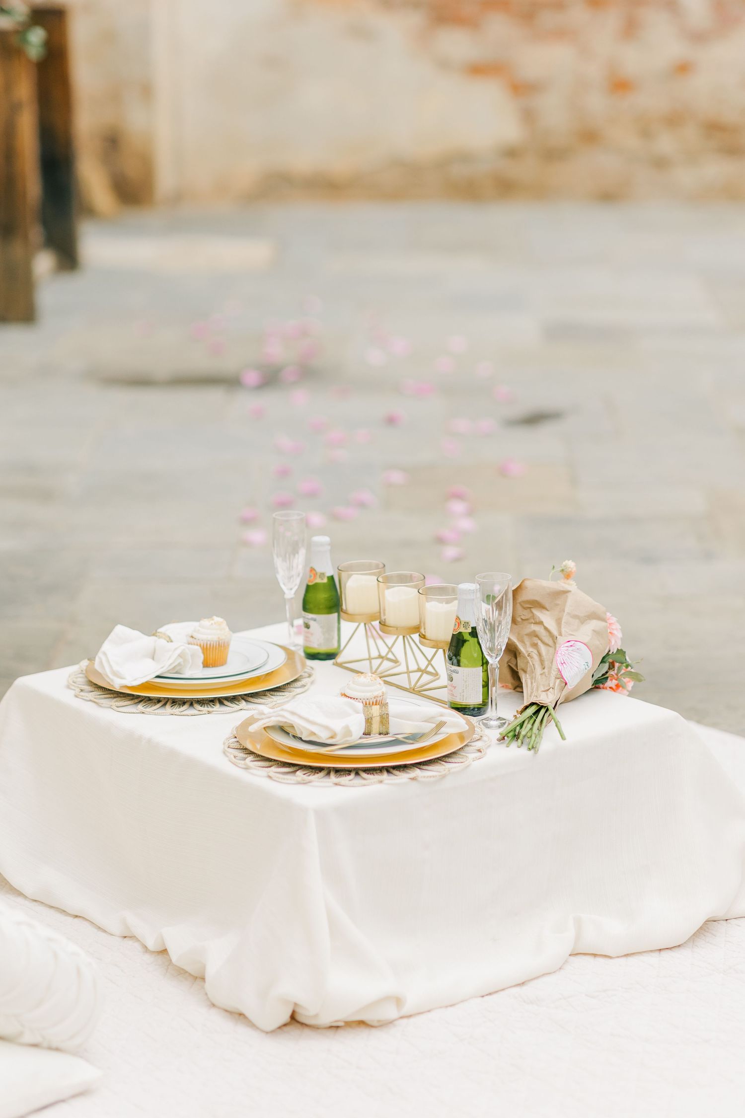 OATLANDS HISTORIC HOUSE LEESBURG VIRGINIA ENGAGEMENT PICTURES