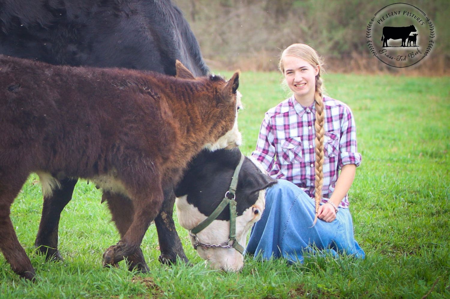 Pleasant Pastures Beef Pleasant Photography Naomi Parfitt