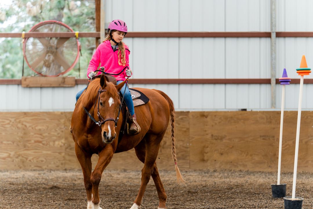 girl riding a horse in the arena