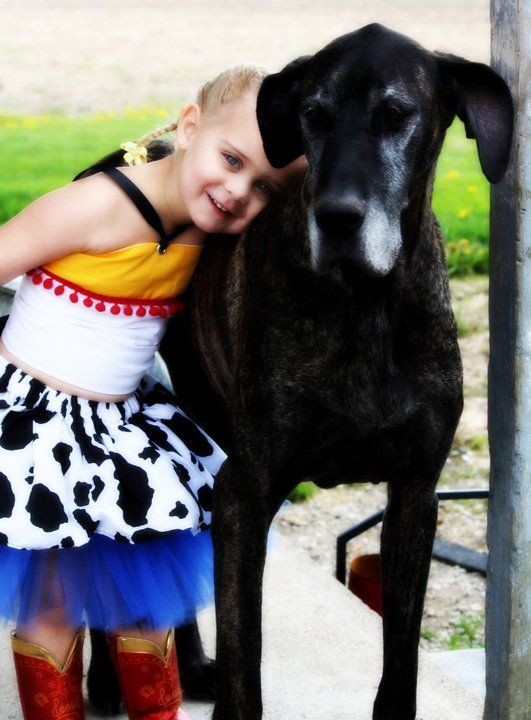 Dress with cow print pattern standing next to a large black dog outdoors.