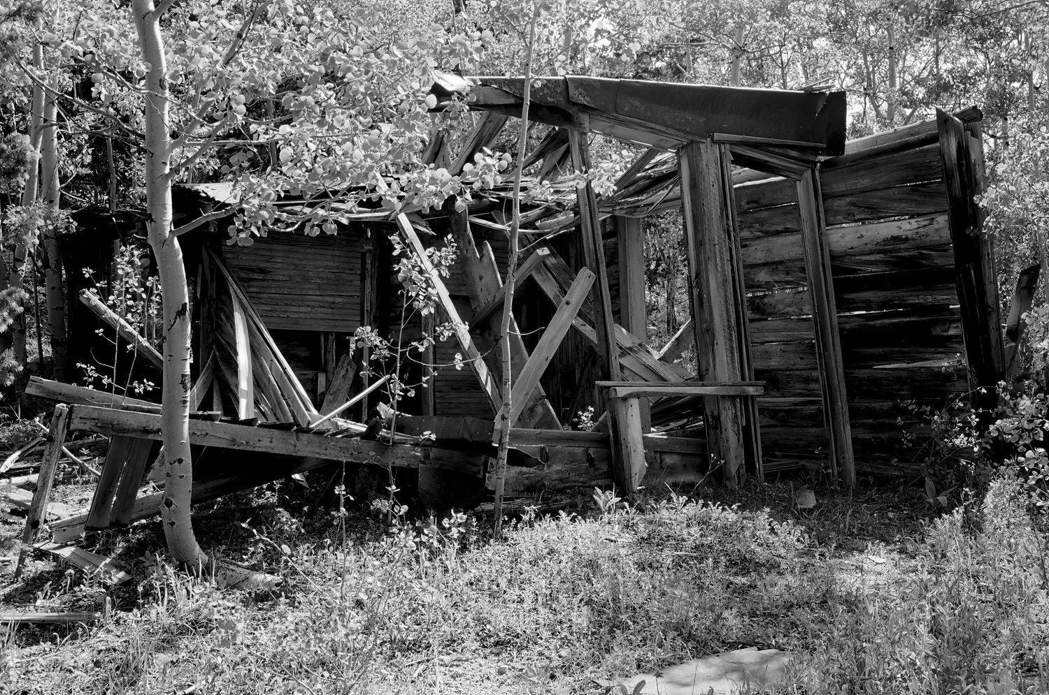 Camp Francis, Colorado