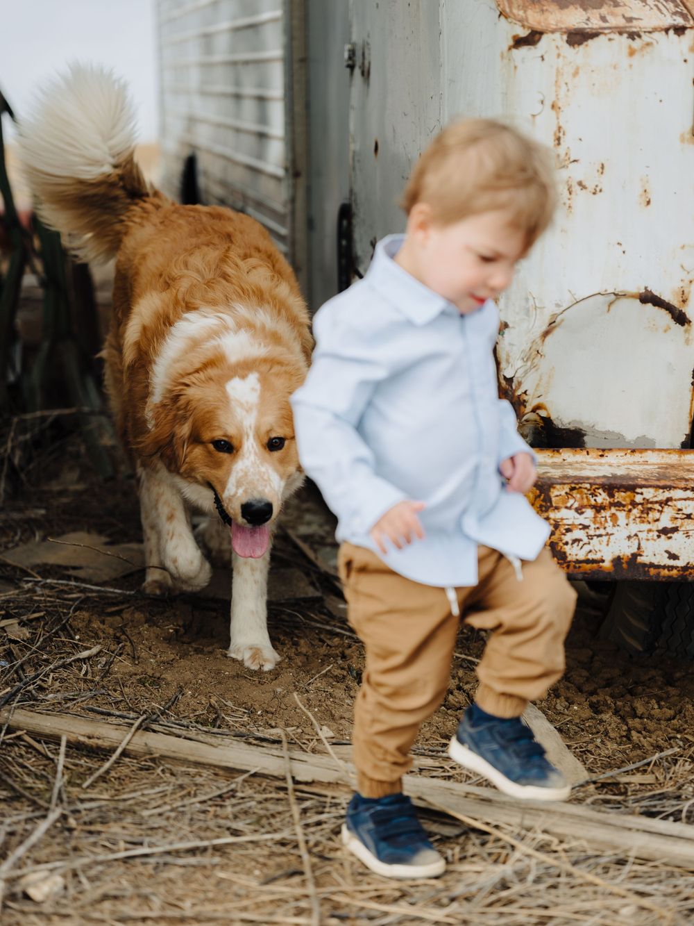 Child in light blue shirt walks alongside a golden retriever dog near weathered wall.