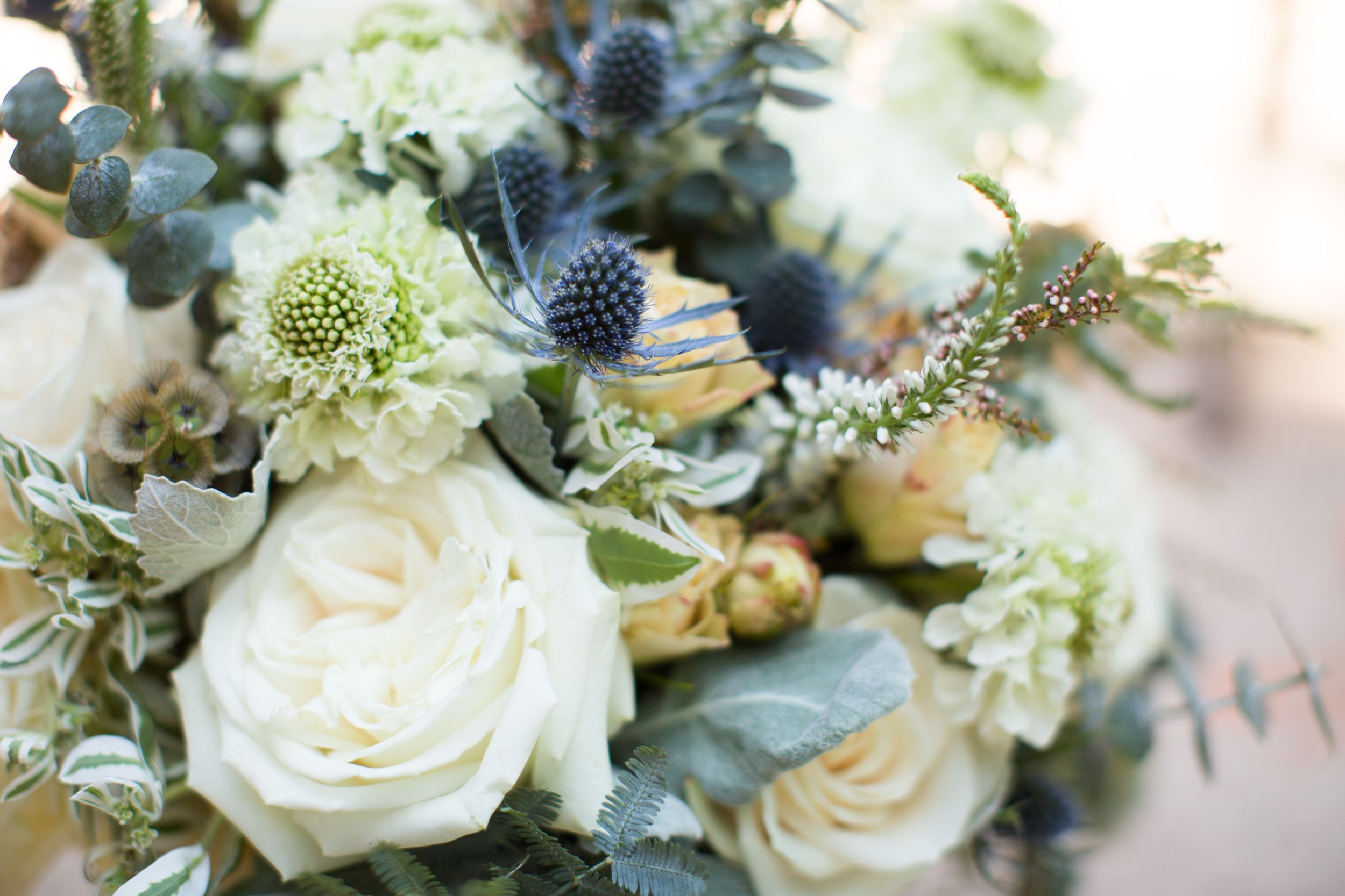 Elegant wedding bouquet with white roses and blue thistle flowers.