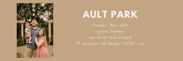 cincinnati spring mini sessions