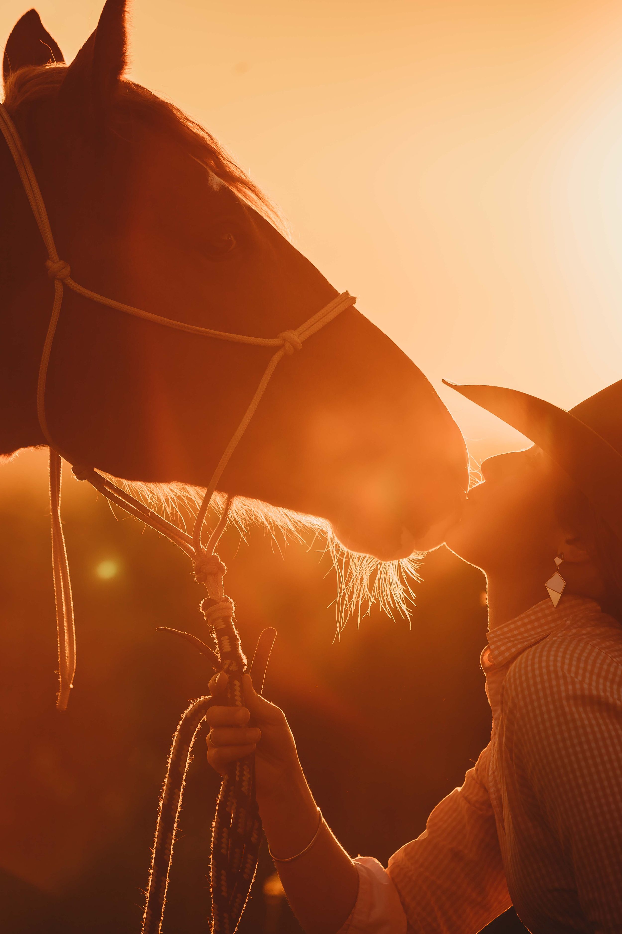 Blue Velvet Photography