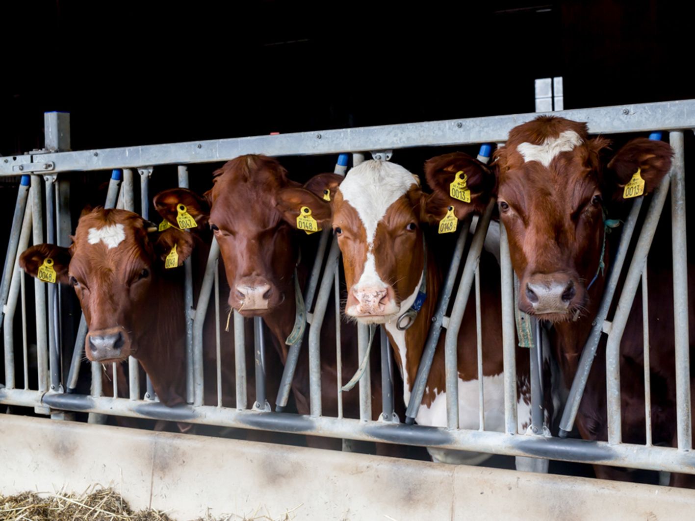 Produkt-reklam - ByMija