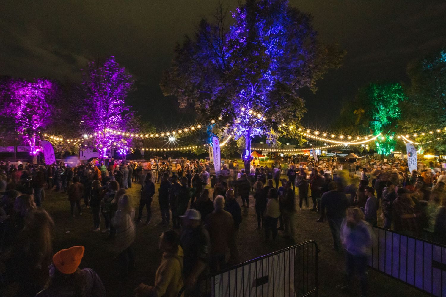 Colorful nighttime festival with string lights illuminating trees in blue, purple and green hues.