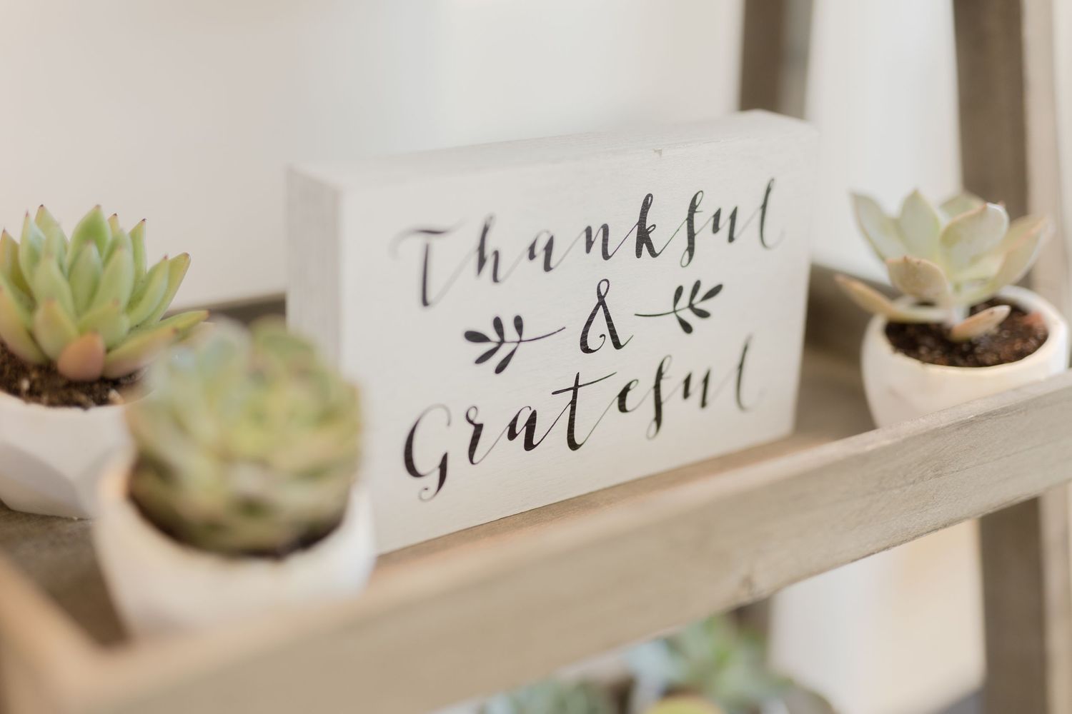 Decorative sign with 'Thankful & Grateful' text alongside potted succulent plants on wooden shelf.