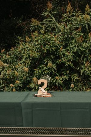 Number 2 table decoration set against green foliage background.